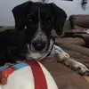 Larry Witkowski - @larry.witkowski - TikTok