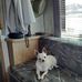Larry Wolcott - Facebook