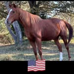Larry Worthy - @cuddles4me1 - Instagram