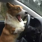Kenna廖🚗 - @larryxiaolun - Instagram