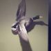 Larry Yancy - Facebook