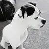 Yardley Yarly - @yardleyyarly - TikTok