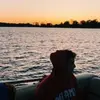 notlarsberg - @notlarsberg - TikTok