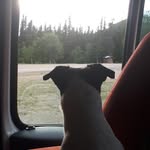 lars frisk - @frisk8317 - Instagram