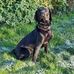 Lars Hansen - Facebook