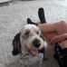 Lars Kruse - Facebook