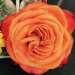 lars nagel - @terminator__17 - Instagram