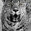 lashaehill372 - @lashaehill372 - TikTok