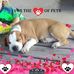 Lashae Jackson - Facebook