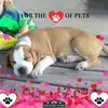 Lashae Jackson - @lashae.jackson - TikTok