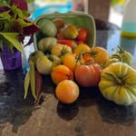 LASHAN BROWN - @homeandgardeningwithshan - Instagram