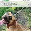 Lashann Foster - @lashann.foster - TikTok