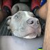 Lashawn Ball - Facebook