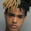 lashawnbrady - @youngsauce6969 - TikTok