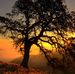 LaShawn Dean - Facebook