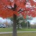 Lashawn Ferrell - Facebook