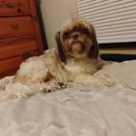 Lashawn Ross - @lashawnross3 - Instagram