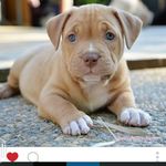 lashawn sims - @lashawnsimsyahoocom - Instagram