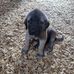 LaShawna Johnson - Facebook