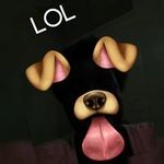 lashayperry - @lashayperry1658 - Instagram