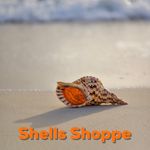 Lashell Johnson - @shellsshoppe_store - Instagram