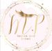 M P Lashes Brows - Facebook