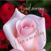Lashkar Singh Singh - Facebook