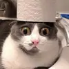 lassevestergaardj8 - @lasse.vestergaard2 - TikTok