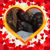 lassinebamba128 - @lassinebamba6 - TikTok