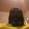 lastarzarobinson3 - @lastarzarobinson3 - TikTok