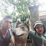 Laszlo Adam - @laszlo.adam.73 - Instagram