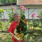 Lászlóné Csernák - @laszlonecsernak - Instagram