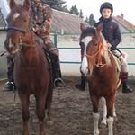 László Domokos - @l.domokos - Instagram