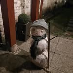 Laszlo Földesi - @laszlo.foldesi.581 - Instagram