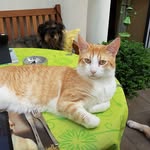 Laszlo Kelemen - @laszlo.kelemen6264 - Instagram