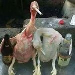 Laszlo Kelemen - @laszlo.kelemen.980 - Instagram