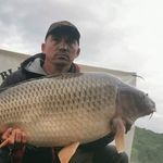 laszlo kocsis - @kocsis.laszlo - Instagram