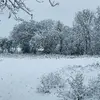 Laszlo Kulcsar388 - @user5435313261104 - TikTok