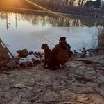 Ládi László - @laszlo.ladi - Instagram