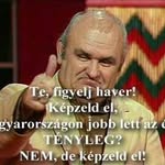 László Novák - @laszlo.novak.562 - Instagram