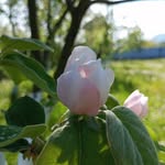 László Orosz - @laszlo9276 - Instagram