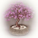 László Polyák - @drahtbonsai.de - Instagram