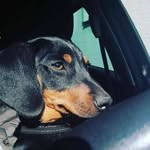 László Bence - @laszlo_tamas_bence - Instagram
