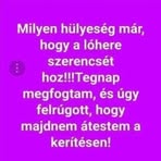 László Török - Facebook