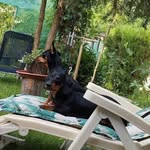 László Végh - @laszlo.vegh.98622 - Instagram