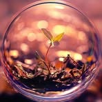 Lật Trần - Facebook