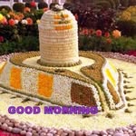 lata Agarwal - @lata2955 - Instagram