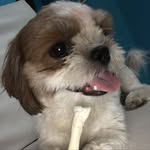 Lata anil kumar - @kumarlataanil - Instagram