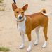 Lata Jindal - Facebook