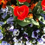 Lata Murthy - Facebook
